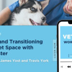 Ep #21: Exiting and Transitioning in the Vet Space with Rich Lester